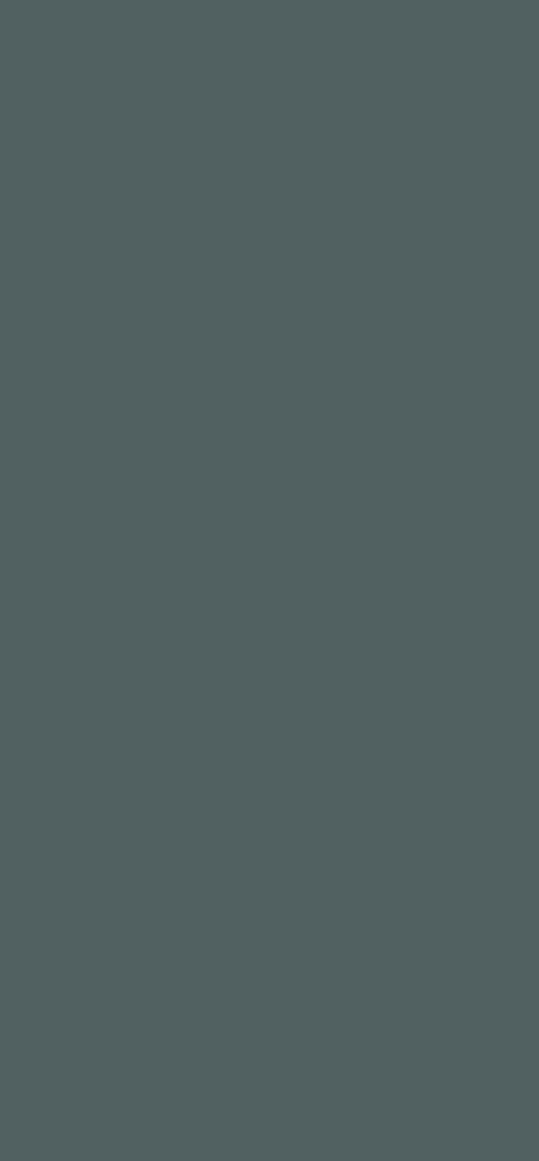 Laminado Egger Verde mineral U665 ST9