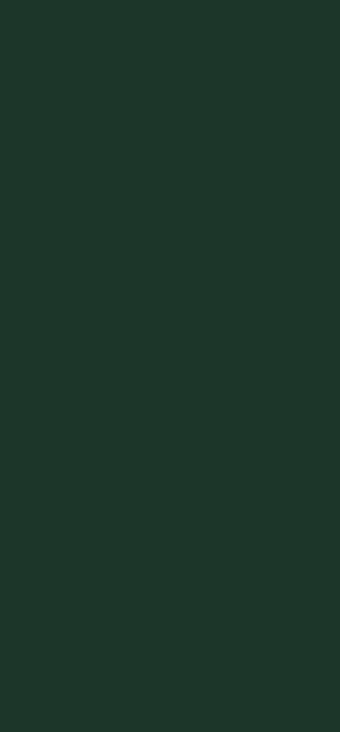 Melamina Egger Verde Pino U699 ST9
