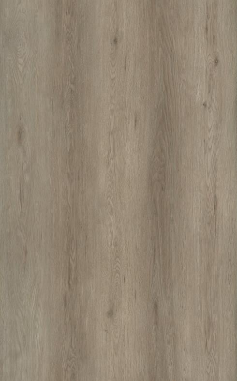 310