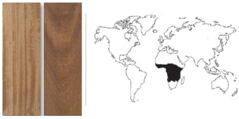 Iroko
